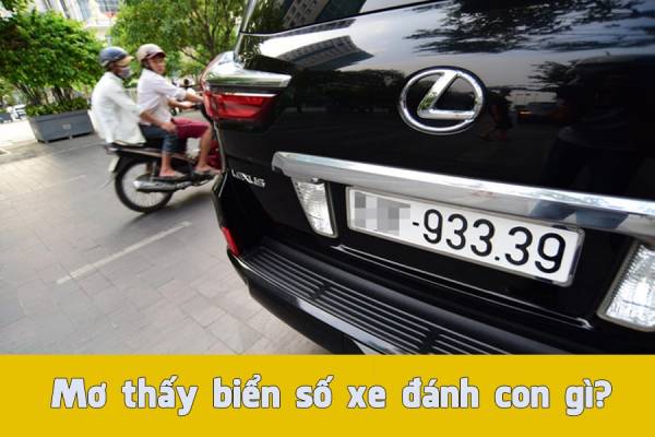 Mơ thấy biển số xe ẩn chứa điềm báo gì?