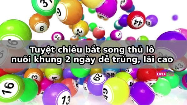 nuôi song thủ lô khung 2 ngày